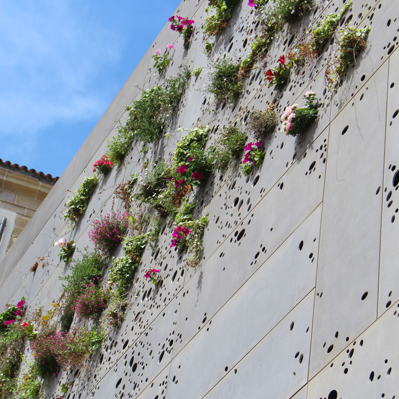 sehenswuerdigkeiten-san-sebastian-baskenland-reisetipps-spanien-altstadt-san-telmo-wand-pflanzen