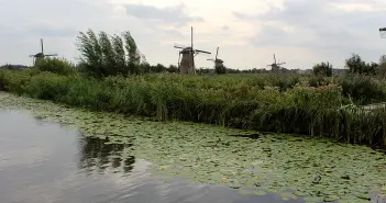 Die Mühlenanlagen in Kinderdijk-Elshout im UNESCO Welterbe Check sehenswuerdigkeiten-den-haag-Kinderdijk-suedholland-reisetipps-niederlande-titel