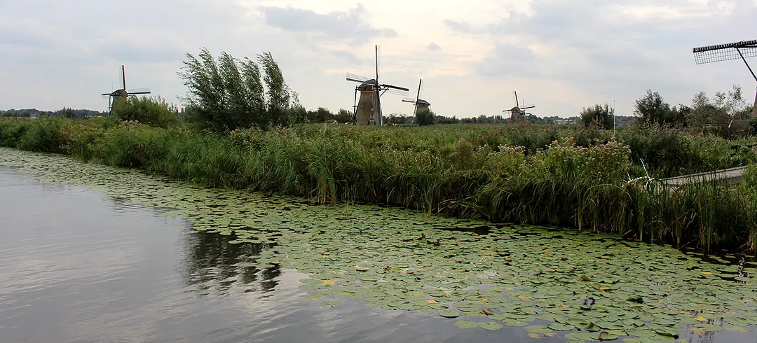 Mühlenanlagen in Kinderdijk-Elshout im UNESCO Welterbe Check