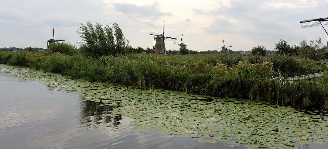 sehenswuerdigkeiten-den-haag-Kinderdijk-suedholland-reisetipps-niederlande-titel
