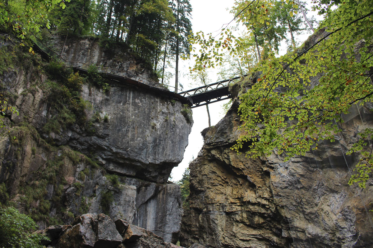 sehenswuerdigkeiten-dornbirn-reisetipps-vorarlberg-reisetipps-oesterreich-rappenlochschlucht-blick-auf-den-felssteig