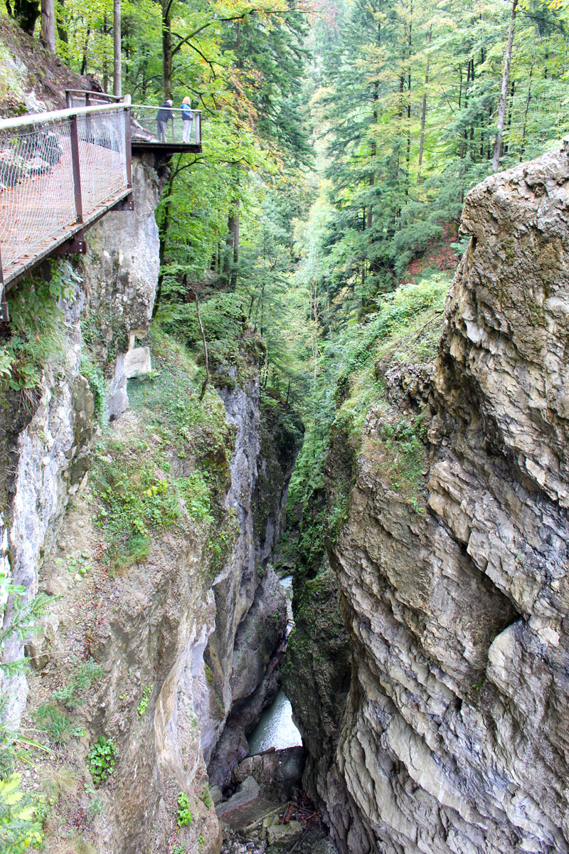 sehenswuerdigkeiten-dornbirn-reisetipps-vorarlberg-reisetipps-oesterreich-rappenlochschlucht-felssteig-schlucht