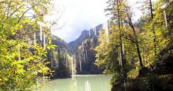 Rappenlochschlucht in DornbirnReisetipp im Vorarlberg sehenswuerdigkeiten-dornbirn-reisetipps-vorarlberg-reisetipps-oesterreich-rappenlochschlucht-titel