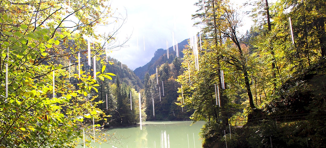 Wanderung durch die Rappenlochschlucht & Alplochschlucht