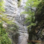 sehenswuerdigkeiten-dornbirn-reisetipps-vorarlberg-reisetipps-oesterreich-alplochschlucht-fels-baum-steg