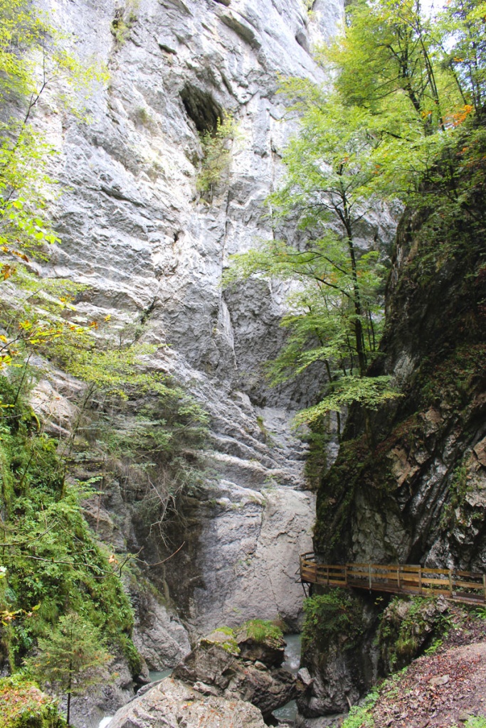 sehenswuerdigkeiten-dornbirn-reisetipps-vorarlberg-reisetipps-oesterreich-alplochschlucht-fels-baum-steg