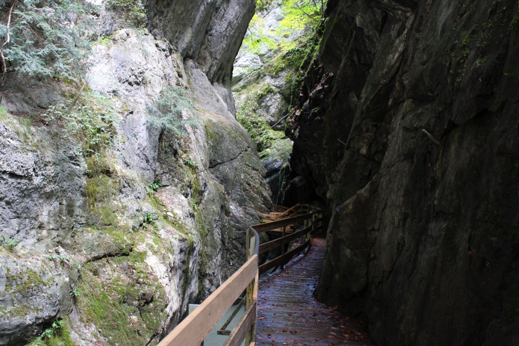 sehenswuerdigkeiten-dornbirn-reisetipps-vorarlberg-reisetipps-oesterreich-alplochschlucht-steg-mitte-fls