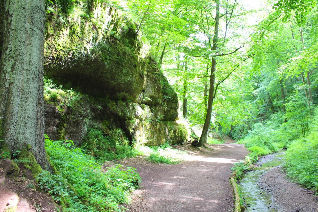 sehenswuerdigkeiten-eisenach-reisetipps-thueringen-reisetipps-deutschland-reiseblog-5-orte-drachenschlucht-feldweg