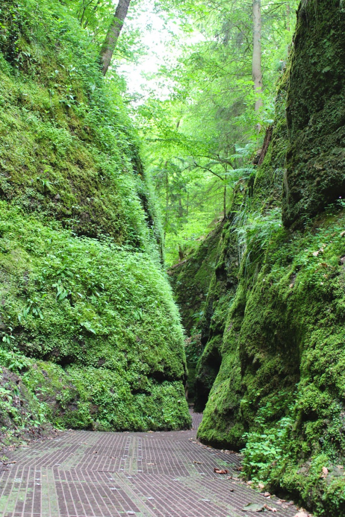 sehenswuerdigkeiten-eisenach-reisetipps-thueringen-reisetipps-deutschland-reiseblog-5-orte-drachenschlucht-hochkant