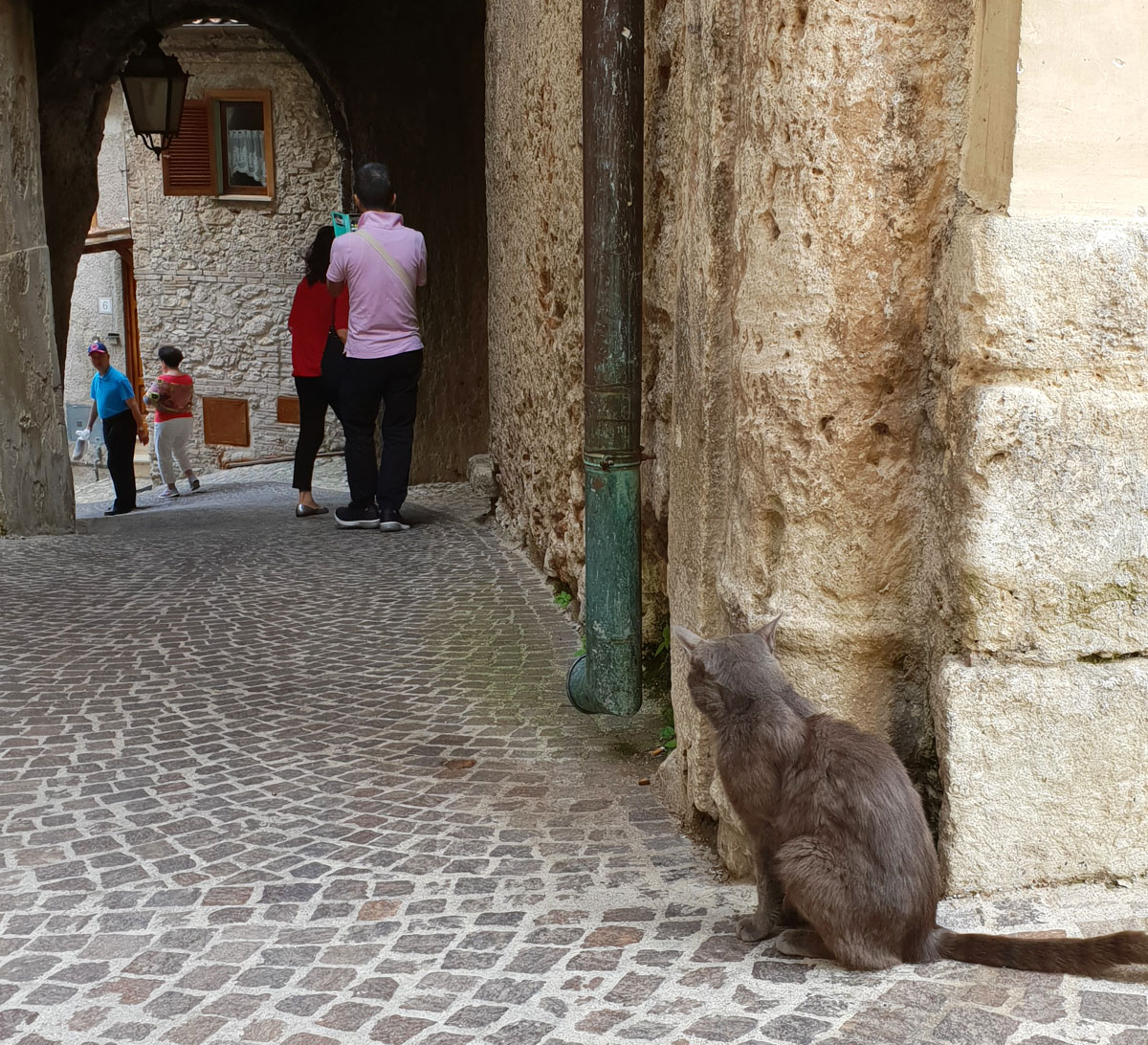 Castel-di-tora-reisetipps-latium-reisetipps-italien-katze-guckt