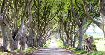 sehenswuerdigkeiten-reisetipps-nordirland-reisetipps-irland-dark-hedges-game-of-thrones-titel