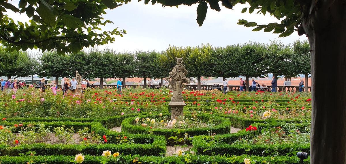 Was-muss-man-sehen-Bamberg-rosengarten