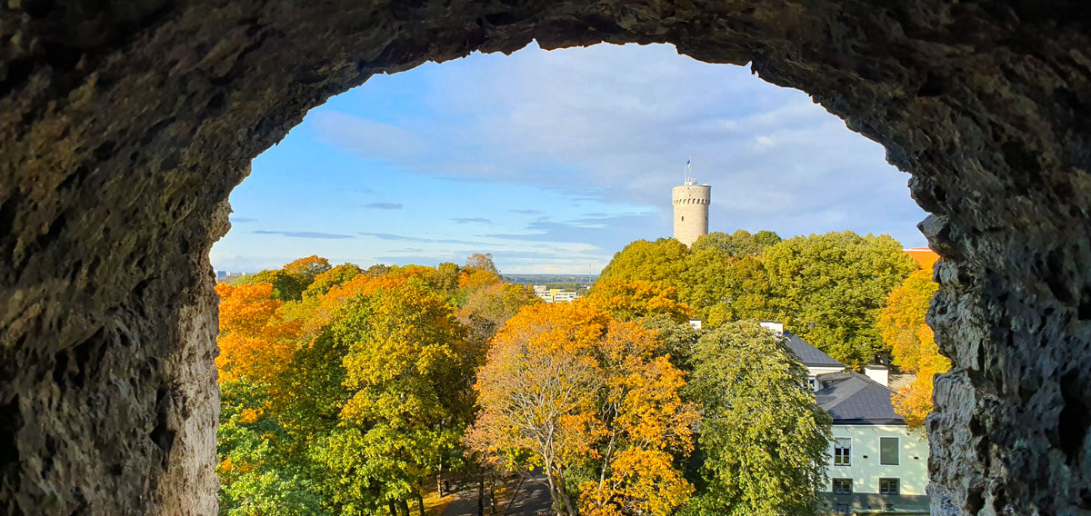 what-must-see-in-tallinn-city-wall-view "width =" 1200 "height =" 568 "data-wp-pid =" 11368 "srcset =" https://www.nicolos-reiseblog.de/ wp-content / uploads / 2019/10 / was-must-see-in-tallinn-stadtmauer-blick.jpg 1200w, https://www.nicolos-reiseblog.de/wp-content/uploads/2019/10 /was-muss-man-sehen-in-tallinn-stadtmauer-blick-300x142.jpg 300w, https://www.nicolos-reiseblog.de/wp-content/uploads/2019/10/was-muss-man- see-in-tallinn-city-wall-view-1024x485.jpg 1024w, https://www.nicolos-reiseblog.de/wp-content/uploads/2019/10/was-muss-man-sehen-in-tallinn-stadtmauer -blick-50x24.jpg 50w, https://www.nicolos-reiseblog.de/wp-content/uploads/2019/10/was-muss-man-sehen-in-tallinn-stadtmauer-blick-800x379.jpg 800w "sizes =" (max-breedte: 1200px) 100vw, 1200px "/></noscript></p>
<hr/>
<h2>1 | Cathedral Hill</h2>
<p>Wat te zien in Tallinn In ieder geval de Domberg, waar de bovenstad van Tallinn zich bevindt. Vanaf hier kan ik een geweldig overzicht krijgen vanuit verschillende gezichtspunten zoals het observatiedek Patkuli en genieten van het uitzicht op de benedenstad en de zee. De perfecte panoramafoto van Tallinn kan hier geweldig worden gemaakt!</p>
<p>De hogere sociale klassen woonden vroeger op de Domberg, enerzijds om meer bescherming te hebben tegen vijanden en anderzijds om verder weg te zijn van de lagere klassen. Als gevolg hiervan zijn er tal van bezienswaardigheden, zoals het barokke kasteel Castrum Danorum uit de 13e eeuw, dat nu de zetel is van het Estse parlement.</p>
<h3>Alexander Nevsky-kathedraal op Domberg</h3>
<p>Maar er is meer te ontdekken, want hier is een van de mooiste kathedralen in Tallinn, de Russisch-orthodoxe Alexander Nevski-kathedraal met zijn vijf uikoepels.</p>
<p>Slechts een paar stappen verder is de kathedraal van Tallinn, een van de bezienswaardigheden van de stad. Anders vind ik veel mooie gebouwen in de classicistische stijl in de kleine straatjes in de bovenstad. De weg naar Domberg was absoluut de moeite waard!</p>
<p>De weg terug naar de benedenstad is via een van de weinige verbindingsroutes. De drie paden via Patkulsche trappen, Lange Domberg of Kurz Domberg zijn hier bekend.</p>
<h3>Infobox Domberg</h3>
<ul>
<li><span style=