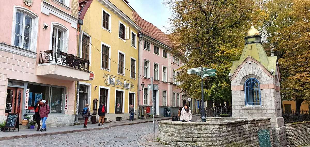 Tallinn-sehenswuerdigkeiten-gruener-markt