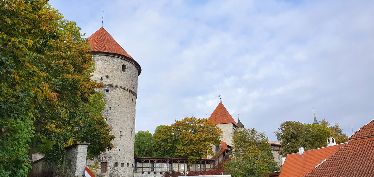 Tallinn-bezienswaardigheden-kiek-in-de-koek "width =" 1200 "height =" 568 "srcset =" https://www.nicolos-reiseblog.de/wp-content/uploads/2019/12/Tallinn- bezienswaardigheden -kiek-in-de-koek.jpg 1200w, https://www.nicolos-reiseblog.de/wp-content/uploads/2019/12/Tallinn-sehenswuerdigkeits-kiek-in-de-koek-300x142.jpg 300w , https://www.nicolos-reiseblog.de/wp-content/uploads/2019/12/Tallinn-sehenswuerdigkeits-kiek-in-de-koek-1024x485.jpg 1024w "sizes =" (max-width: 1200px) 100 vw, 1200 px "/>

<p id=