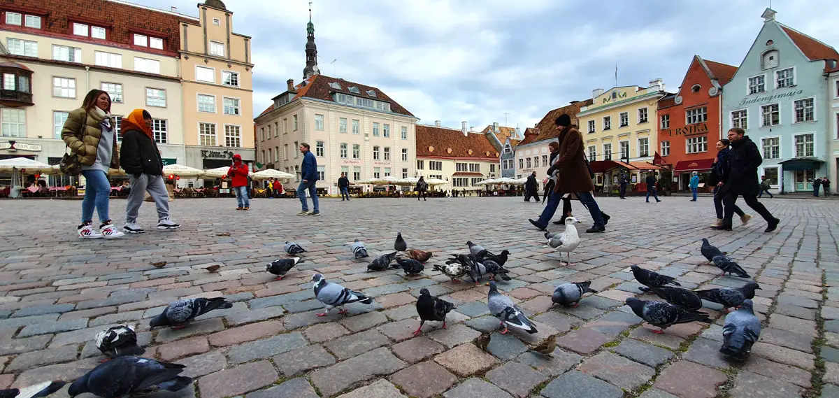 Tallinn-sehenswuerdigkeiten-marktplatz