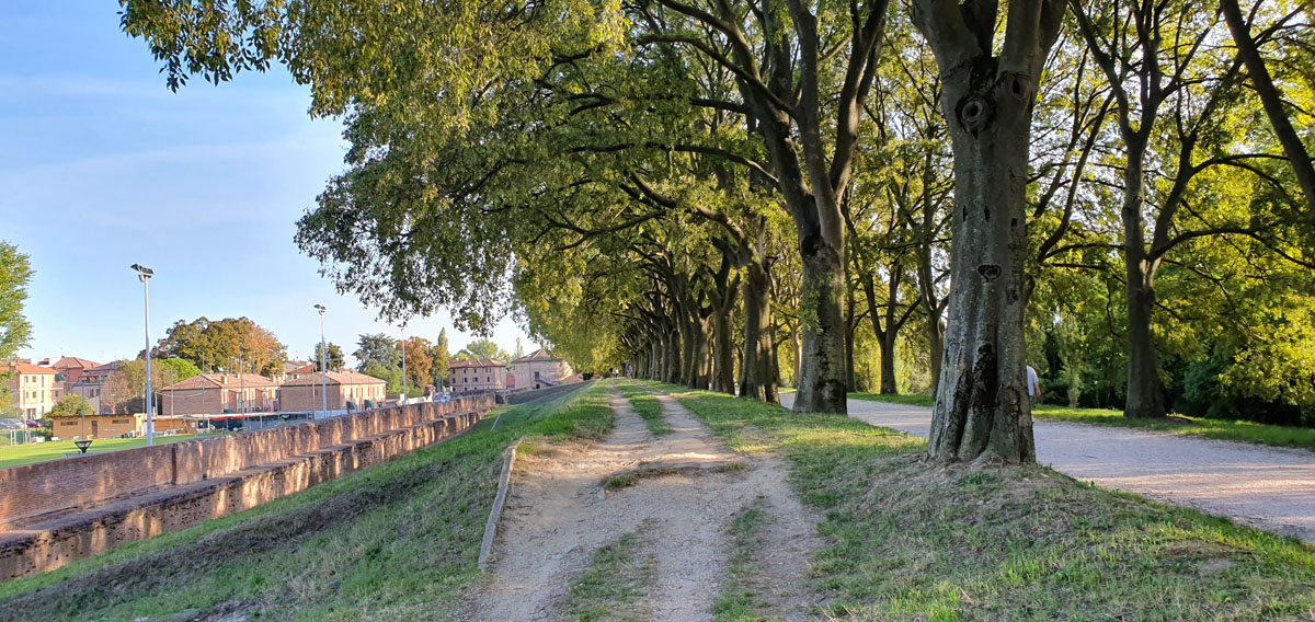 ferrara-sehenswuerdigkeiten-stadtmauern-allee