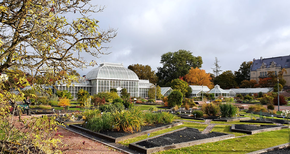 helsinki-sehenswuerdigkeiten-botanischer-garten