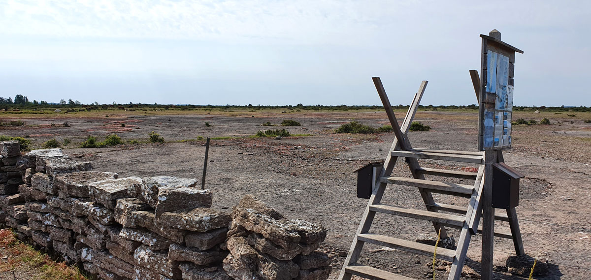 zweden-roadtrip-oeland-stora-alvaret-wandelen