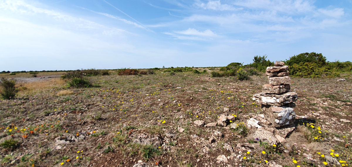 zweden-roadtrip-oeland-stora-alvaret-wandelroute