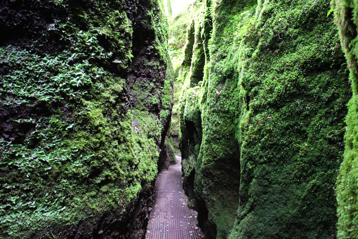 eisenach-sehenswuerdigkeiten-drachenlochschlucht