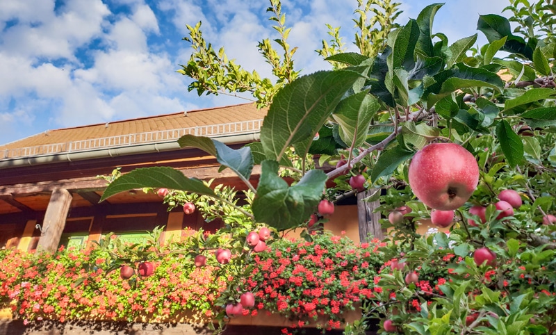 neuruppin-Up-Hus-Idyll-restaurant-hotel