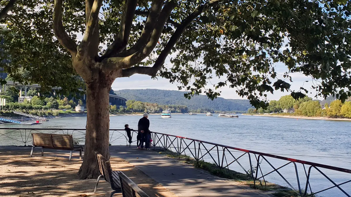 11 schöne Sehenswürdigkeiten am Rhein und Tipps
