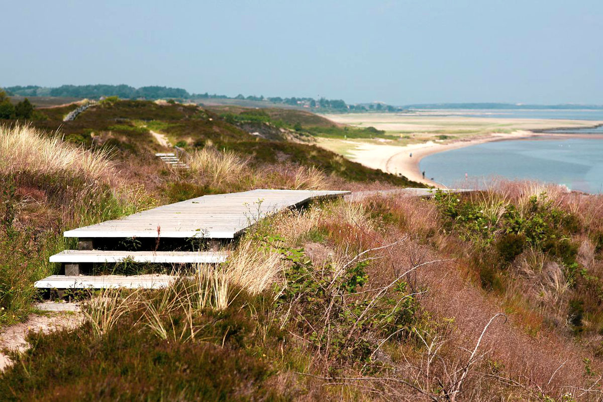 sylt-sehenswuerdigkeiten-braderuper-heide-z