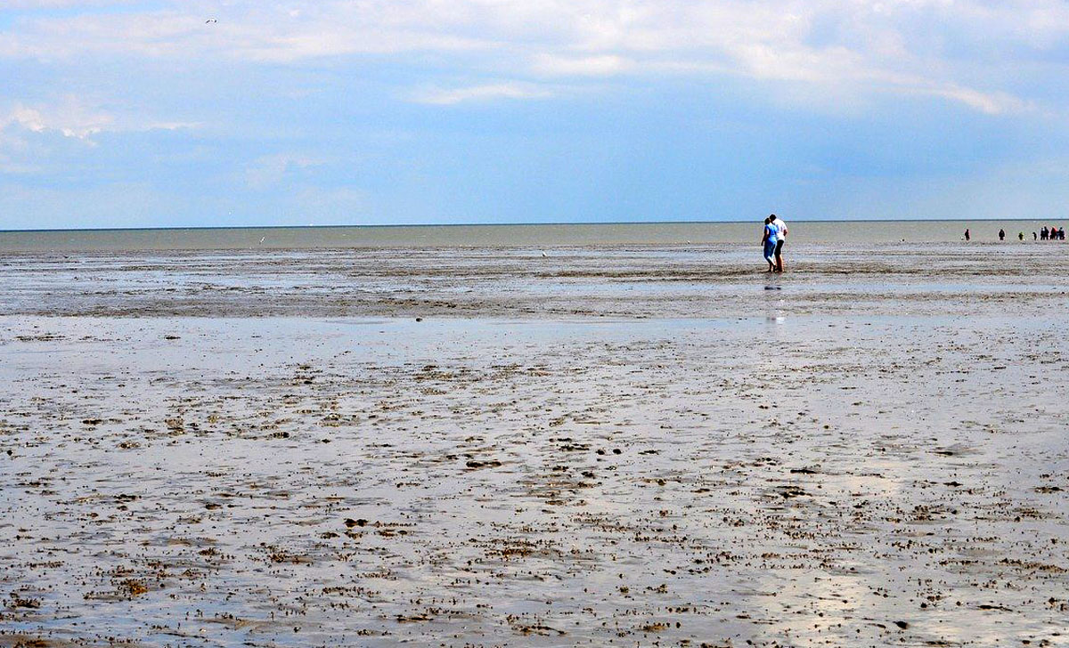 sylt-sehenswuerdigkeiten-wattenmeer-z