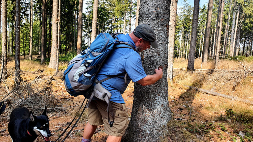 wandern-in-hunsrueck-gefuehrte-Wanderungen