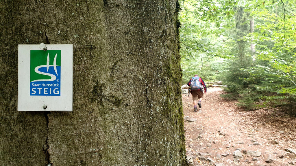 wandern-in-hunsrueck-saar-hunsrueck-steig