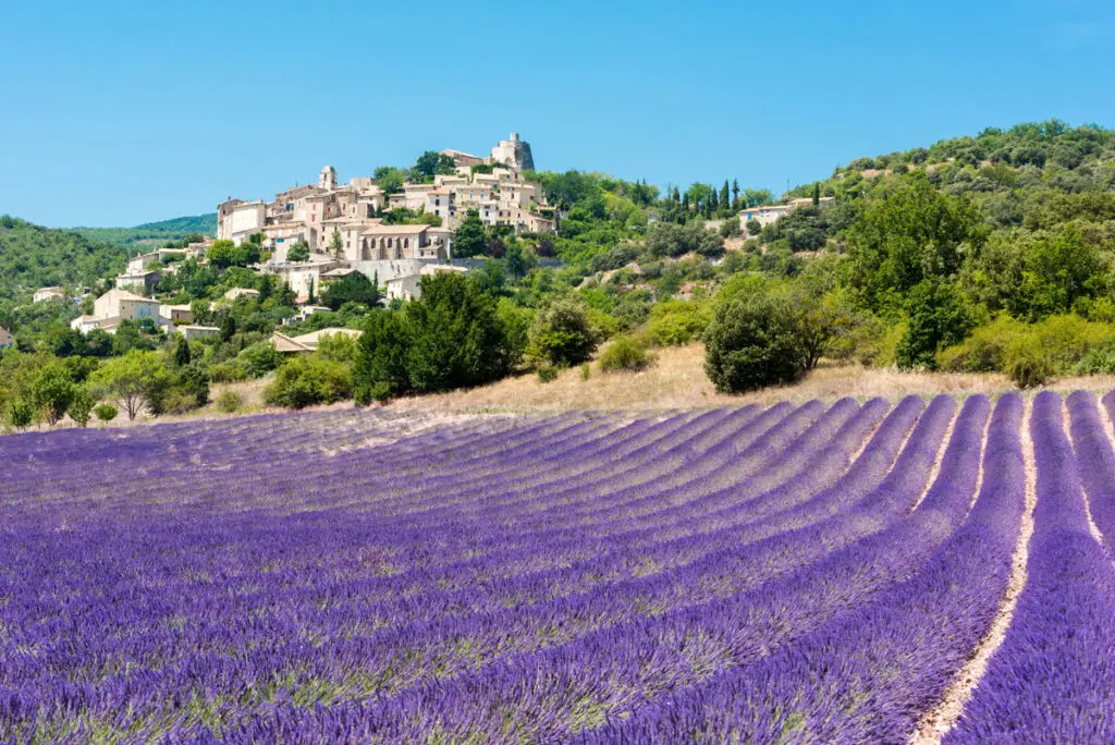 frankreich-sehenswuerdigkeiten-Lavendelfelder-Provence