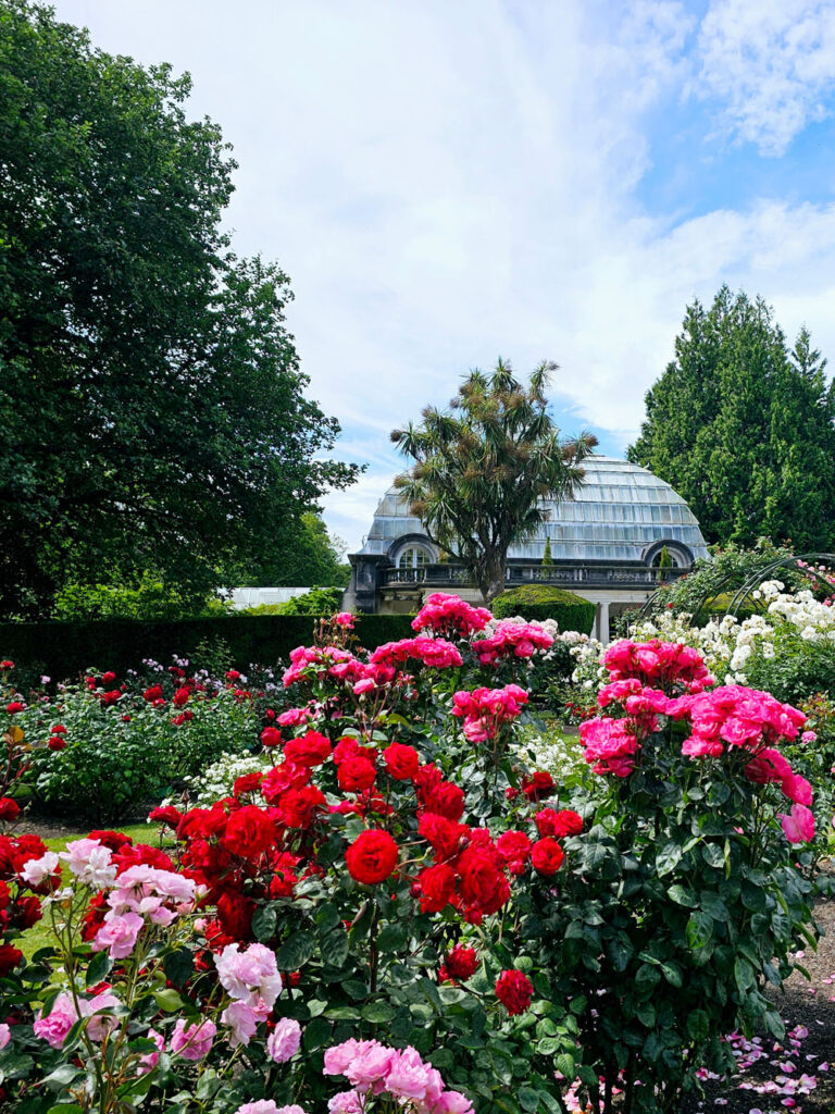 top-10-sehenswuerdigkeiten-christchurch-Botanic-Gardens