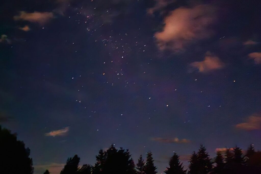 Ein tiefblauer Nachthimmel voller Sterne über den Silhouetten von Bäumen am Lake Tekapo.
