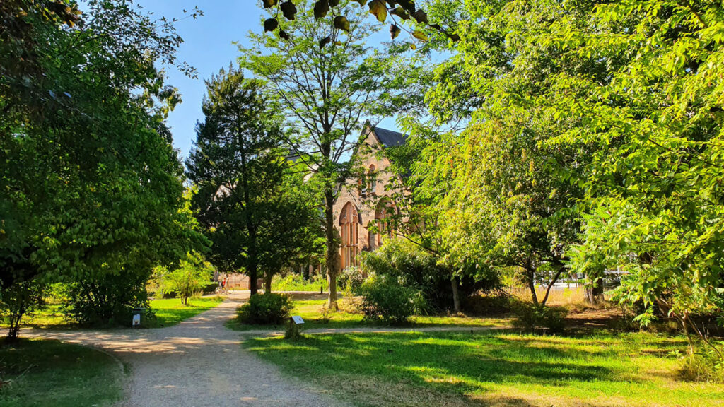 ein-tag-in-marburg-alter-botanischer-garten