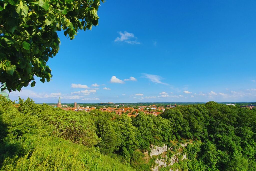 kalkberg-ausblick-lueneburg