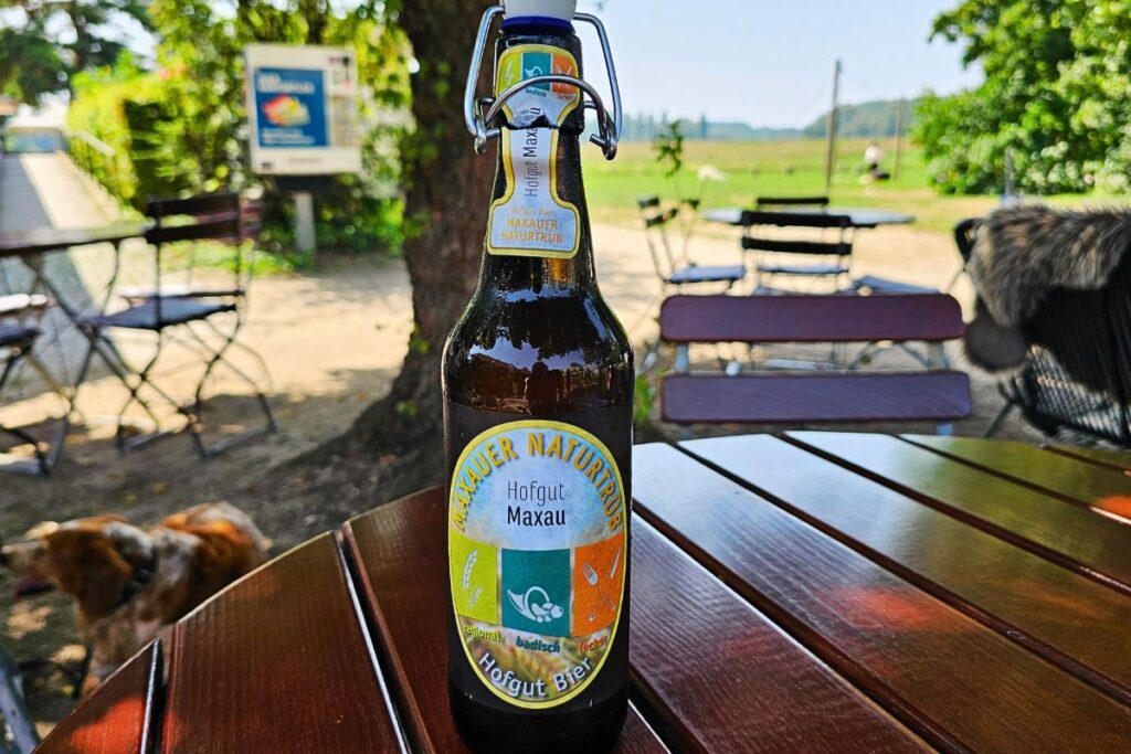 Flasche Maxauer Naturtrüb Bier im Hofgut Maxau Karlsruhe