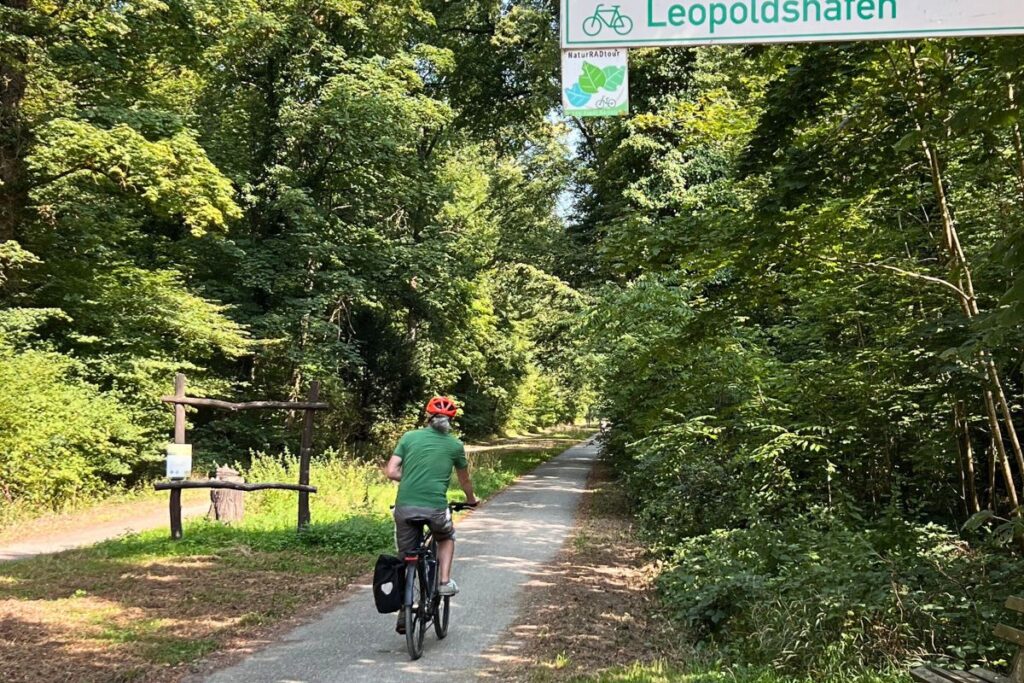 Radfahrer auf der NaturRADtour Karlsruhe auf Waldweg