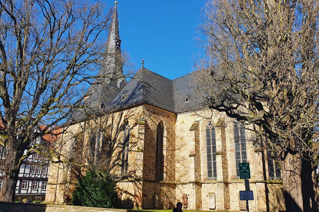 Die gotische Stadtkirche in Melsungen aus hellem Sandstein, umgeben von herbstlichen Bäumen unter einem strahlend blauen Himmel.