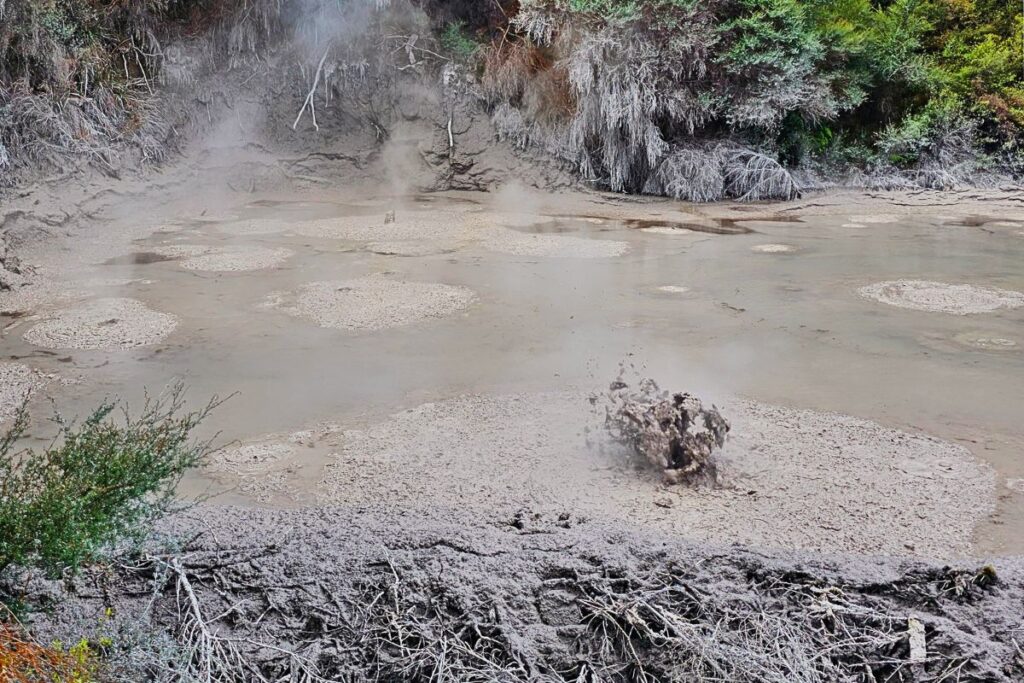 Brodelnde Schlammpools im Wai-O-Tapu Thermal Wonderland in der Nähe von Rotorua.