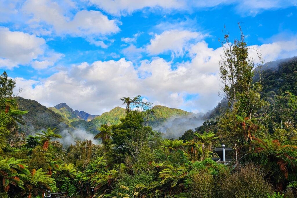 Dichter grüner Regenwald mit riesigen Farnbäumen und Nebelschwaden vor schroffen Berggipfeln in Neuseeland.