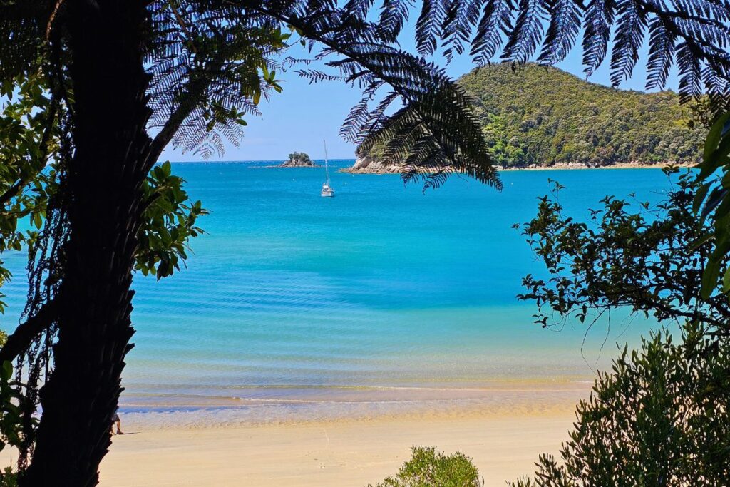 Blick durch Farnwedel auf eine traumhafte Bucht im Abel Tasman Nationalpark mit türkisfarbenem Wasser, goldenem Sand und einem Segelboot.