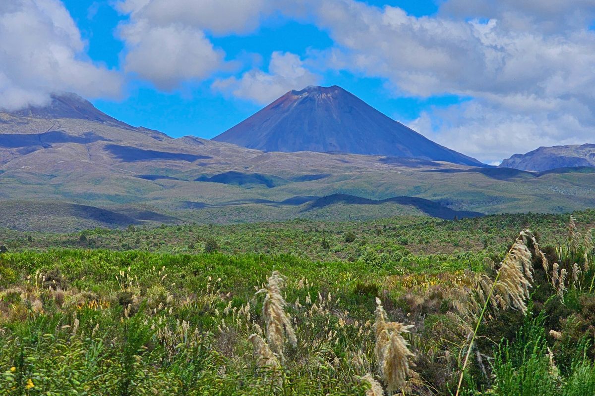 Der kegelförmige Vulkan Mount Ngauruhoe (Schicksalsberg) im Tongariro Nationalpark umgeben von karger Steppenlandschaft.