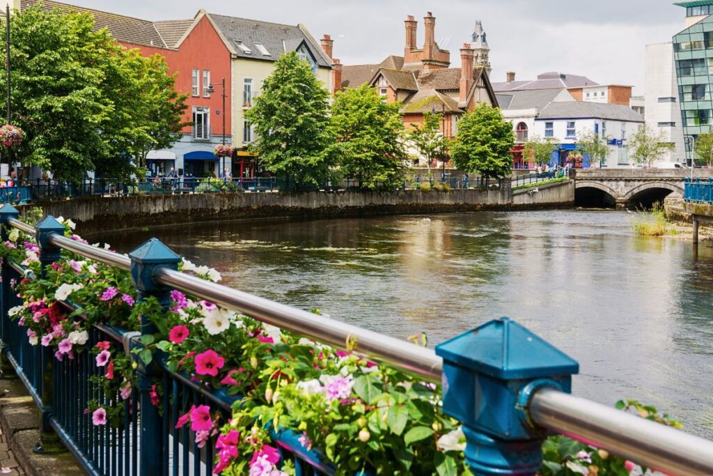Blick über den Garavogue-Fluss in Sligo mit blühenden Blumen im Vordergrund und farbenfrohen Häusern am Ufer.
