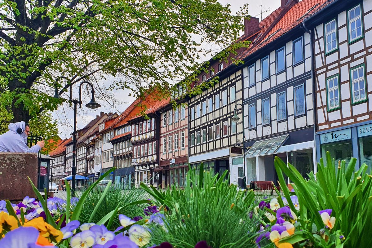 Blick entlang einer prachtvollen Reihe von Fachwerkhäusern in Northeim, im Vordergrund blühen bunte Stiefmütterchen.
