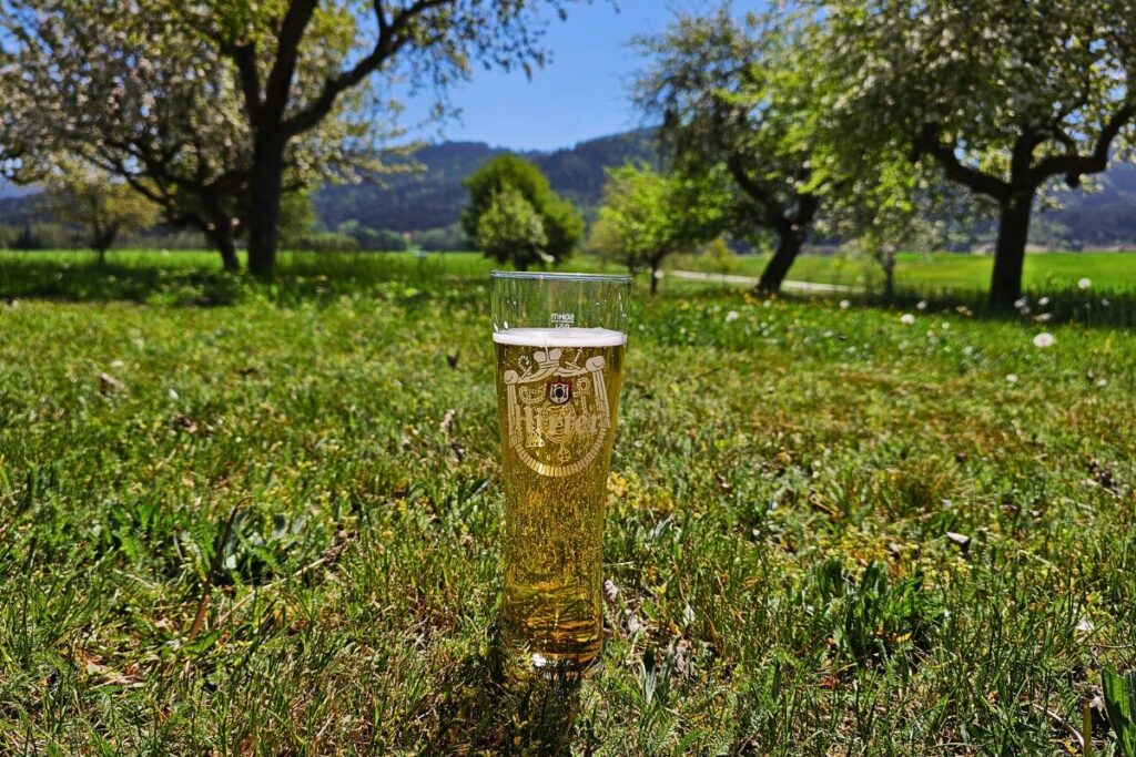 Ein hohes Glas Hirter Bier steht im saftig grünen Gras einer idyllischen Obstwiese vor Kärntner Bergen im Hintergrund.