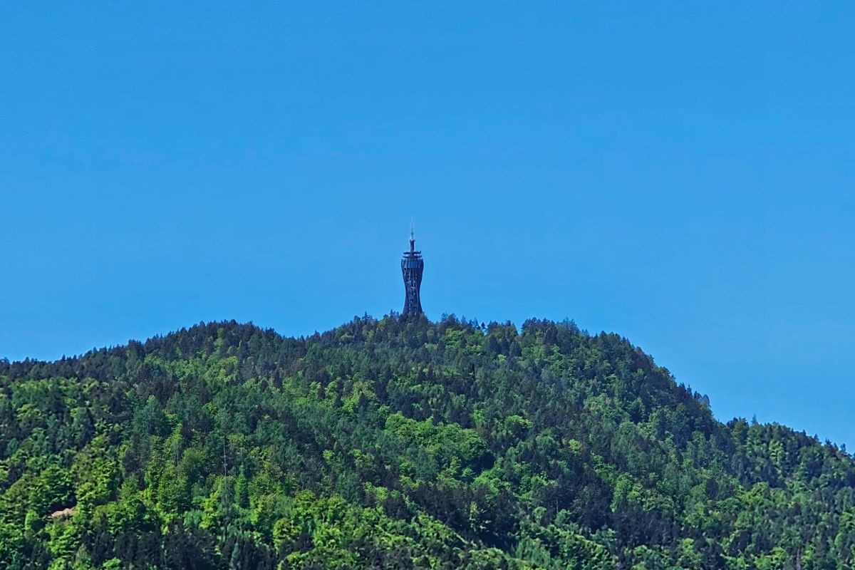 Der markante hölzerne Aussichtsturm Pyramidenkogel ragt weit sichtbar auf einem dicht bewaldeten Hügel vor strahlend blauem Himmel empor.