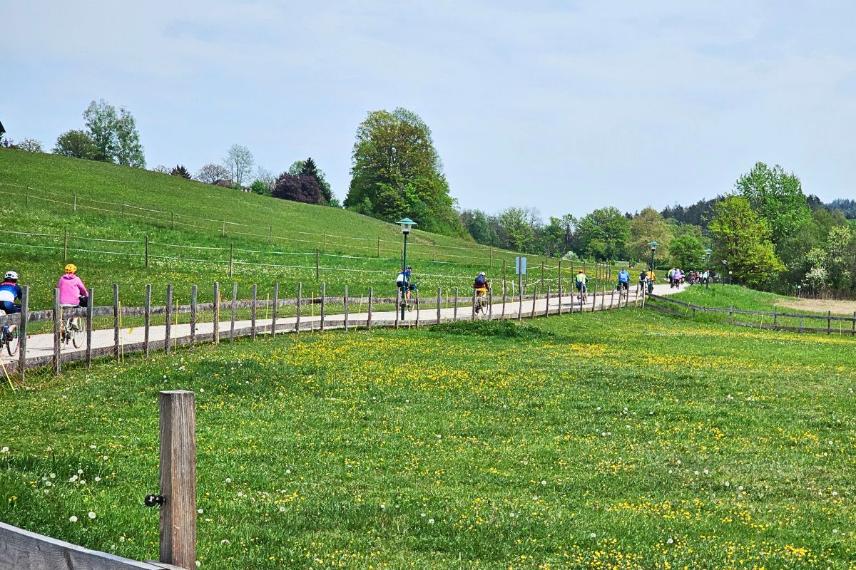 Mehrere Radfahrer befahren hintereinander einen geschwungenen Radweg entlang eines Koppelzauns durch eine grüne Hügellandschaft in Kärnten.
