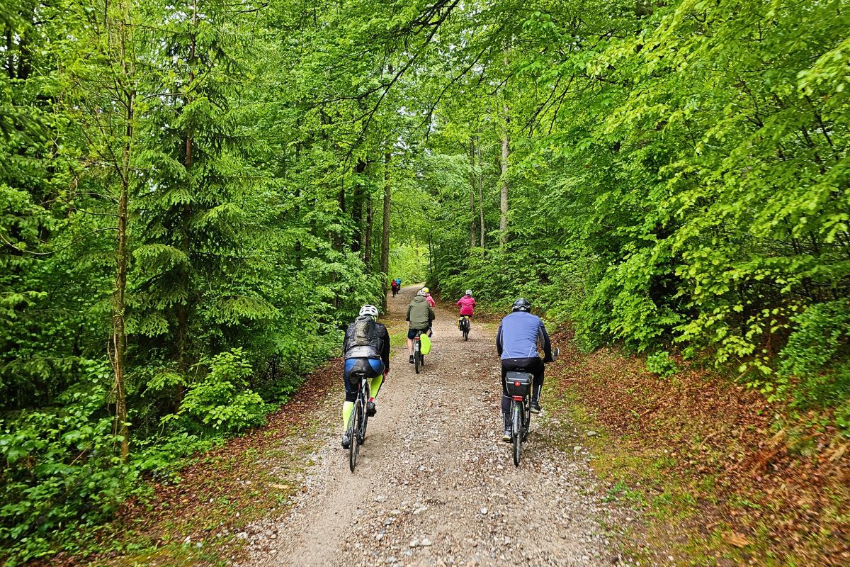 Radfahrer meistern im Wiegetritt eine Steigung auf einer asphaltierten Bergstraße am Unterschlossberg, umgeben von grünen Wäldern und steilen Berghängen.