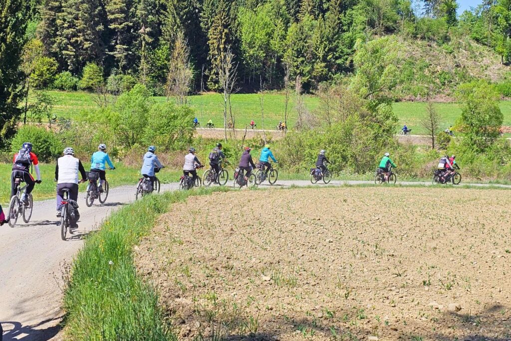 Eine lange Kolonne von Radfahrern fährt hintereinander auf einer geschwungenen Landstraße vorbei an grünen Feldern und Wäldern in Kärnten.